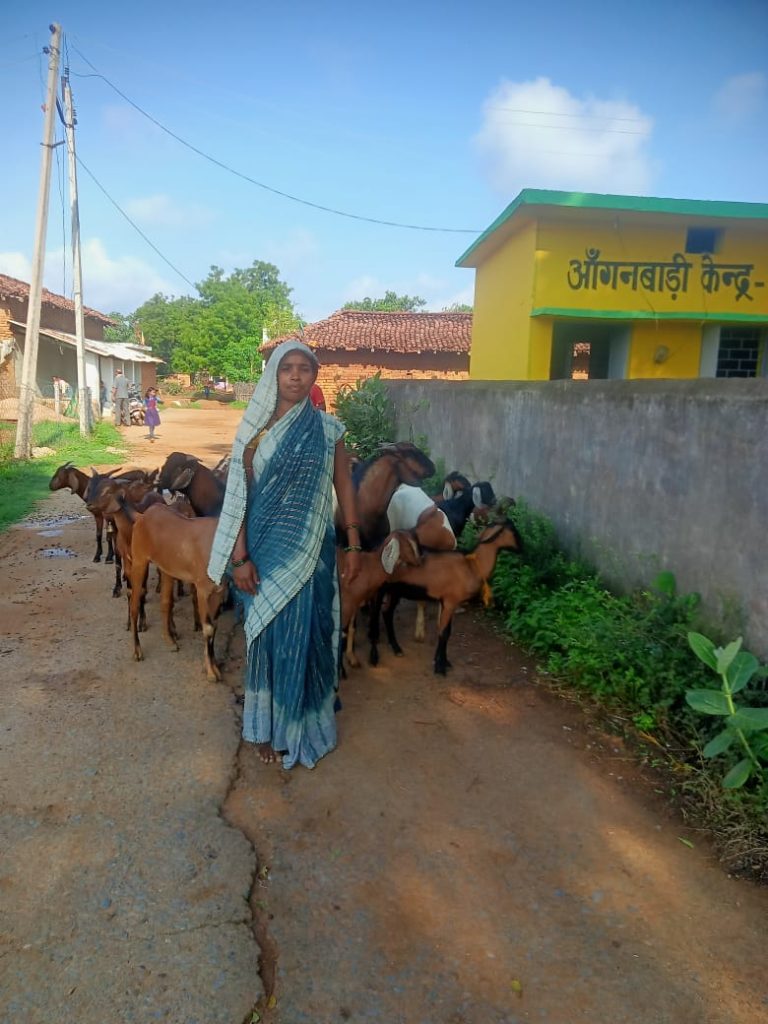 बकरी पालन कर बसना की भूमिका पटेल हुई आत्मनिर्भर