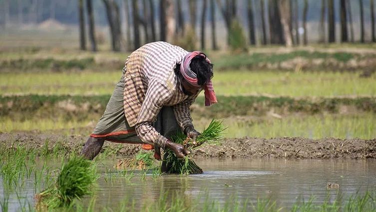 कब आएगी 19वीं किस्त किसानों को मिलेगी राहत