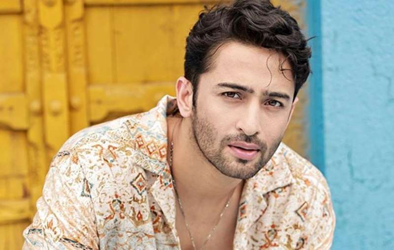 बड़ी स्क्रीन पर Shaheer Sheikh की एंट्री देरी से डेब्यू