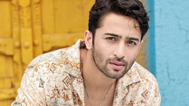 बड़ी स्क्रीन पर Shaheer Sheikh की एंट्री देरी से डेब्यू