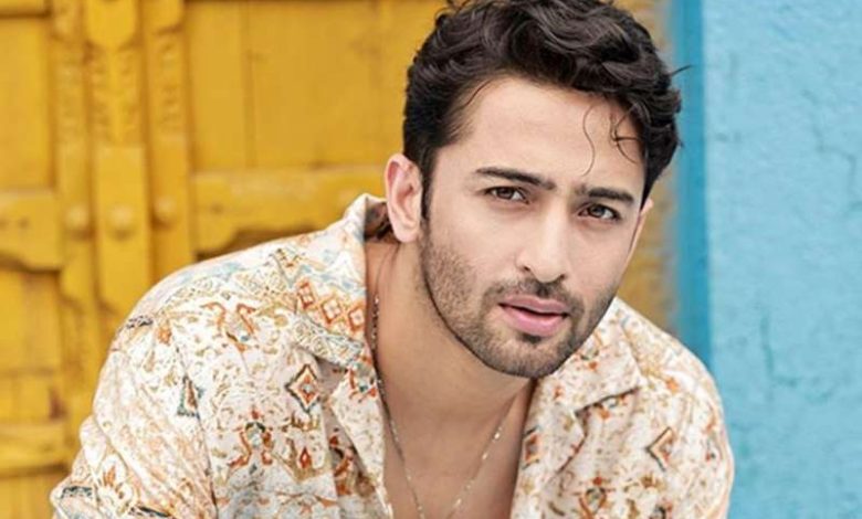 बड़ी स्क्रीन पर Shaheer Sheikh की एंट्री देरी से डेब्यू