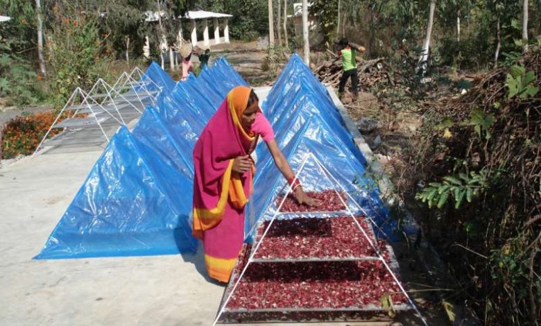 वनौषधि प्रसंस्करण केंद्र डोंगानाला की प्रेरक सफलता