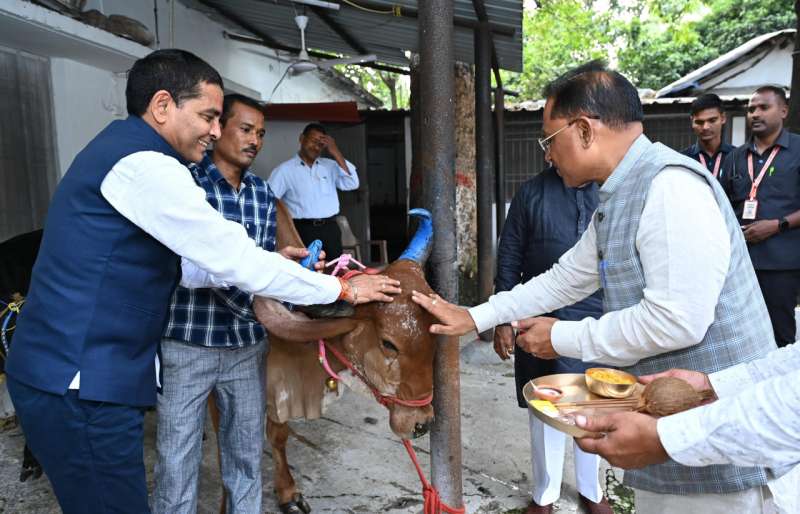 मुख्यमंत्री विष्णु देव साय ने गोवर्धन पूजा के अवसर पर