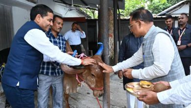 मुख्यमंत्री विष्णु देव साय ने गोवर्धन पूजा के अवसर पर