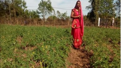 स्व सहायता समूह ने बदली मंजूलता की ज़िन्दगी