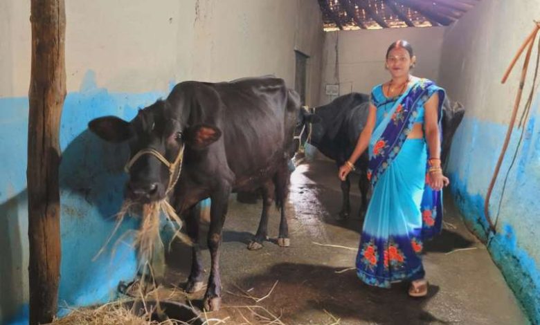 लखपति दीदी रूणा गुप्ता गांव की महिलाओं को कर रहीं