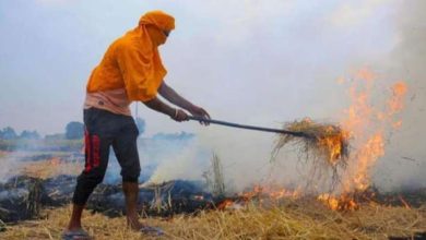 अभी तक जो पराली प्रदूषण फैला रही थी उससे अब