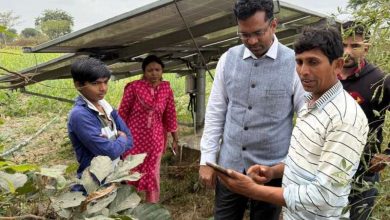 सौर ऊर्जा और ऑटोमेशन तकनीक से सिंचाई प्रबंधन में क्रांति.jfif