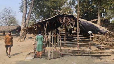 नक्सल हिंसा से उजाड़ गांव होने लगे आबाद