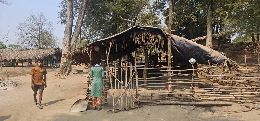 नक्सल हिंसा से उजाड़ गांव होने लगे आबाद